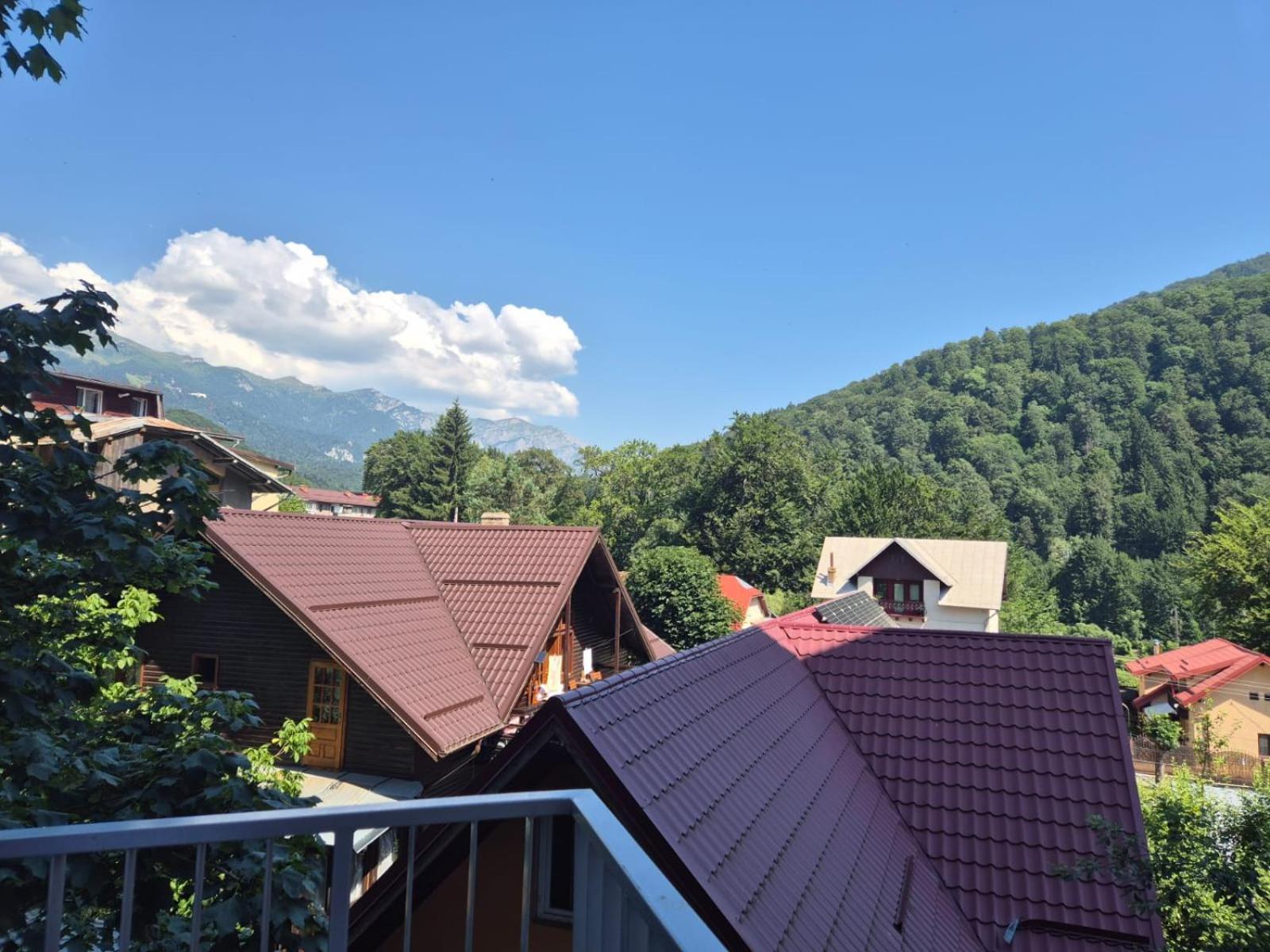 Luxroom In Greenfuture Sinaia Zewnętrze zdjęcie
